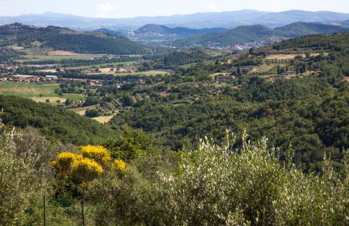 Agriturismo Villa La Maesta - Photo 15