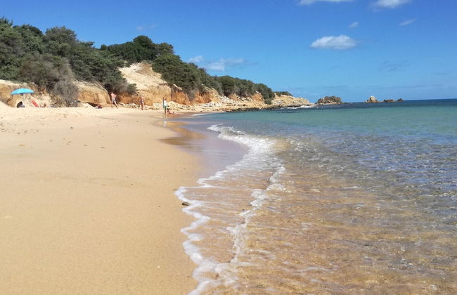 Apartment in a Seaside Resort - Foto 22