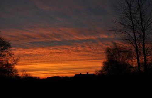 Kleiner Stern - Foto 15