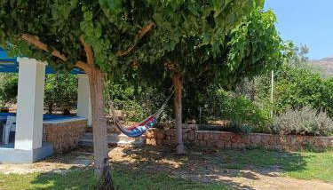 Baitani villa - Foto 4, Garden