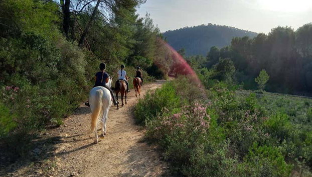Horseback Riding in Randa, Mallorca - Foto 4