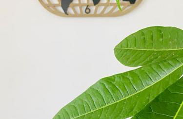 Marisma Home - Foto 40