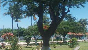 Morada do Sol de Iguaba AP 2 qts - Foto 5