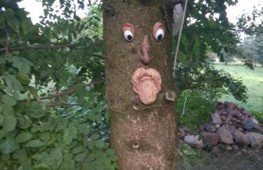 W starej szkole - agroturystyka - Foto 54