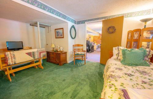 Martinsville Gem - Fireplace, Pets, Near the Park - Foto 27