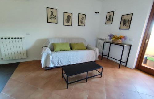 La Casetta di Palidoro - Foto 14