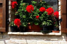 Agriturismo Fiorano - Foto 67