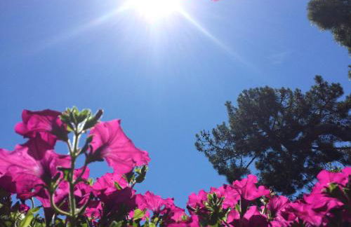 Residence Ola - Foto 27