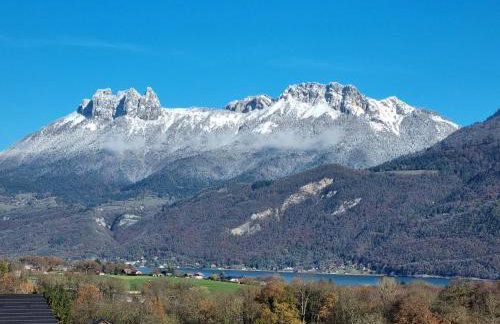 Studio 2 personnes - lumineux - Lac d'Annecy - Foto 25