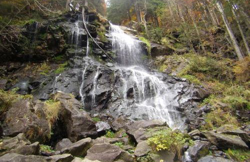 Kapfenmathishof Urlaubsbauernhof - Foto 58