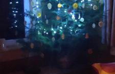 Dom na Kresach Grzybowszczyzna - Photo 5