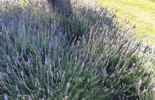 Stunning Villa with Pool & View near beach - Foto 32