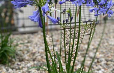 Break Time Holidays Near Regensburg - Foto 32