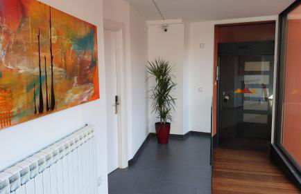 Apartaments y Habitacions Entre Volcans - Foto 4