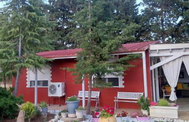 Menƴ's Azure Escape - Foto 3