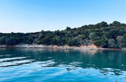 Apartments Anica - Foto 58