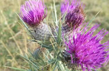 Camera con vista - Photo 28