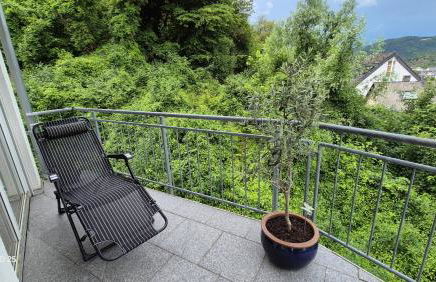 RHEIN-WALD Exklusives Apartment mit Rheinblick - Foto 11