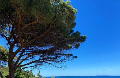 Domaine U Pozzu - Foto 36