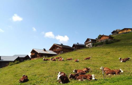 Le Chalet de Bisanne - Foto 54