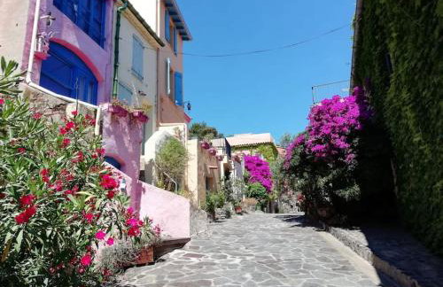 Vue mer, crique de Peyrefite, Cerbère-Banyuls. - Foto 32
