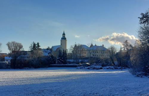 Gemütliche Zwei-Zimmer-Ferienwohnung "W1" in Zwenkau bei Leipzig im Neuseenland - Foto 63