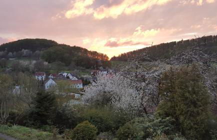Idyllische Wohnung mitten in der Natur „ Haus Magnolia „ - Foto 24