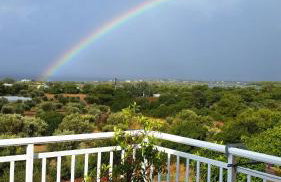 Alexandra Homestay - Foto 29