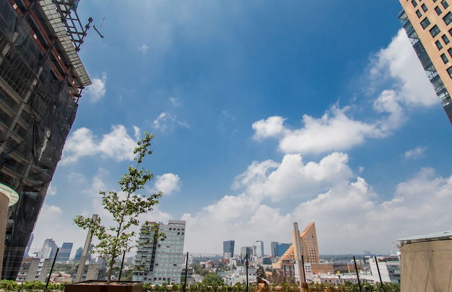 Polanco Luxury Condo - Foto 47