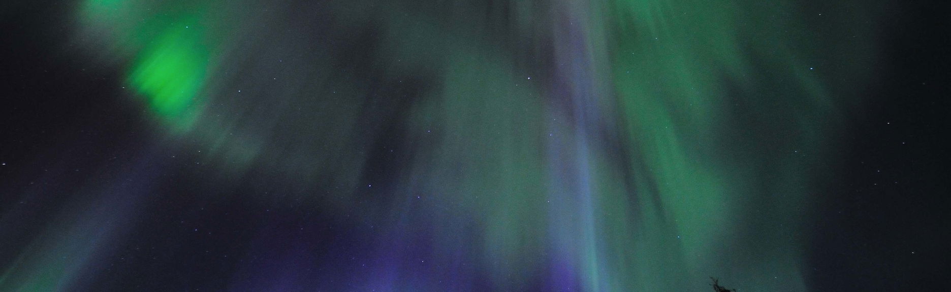 Whitehorse Northern Lights Tour - Foto 1