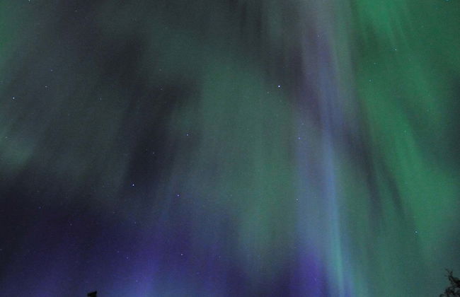 Whitehorse Northern Lights Tour - Foto 1