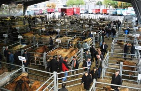 Lili de La LisaThi - Photo 30