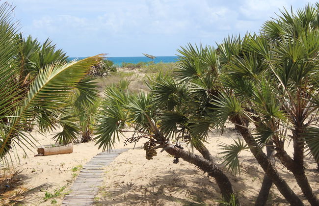 Sunset Villa - Luxury Beachfront Villa with Private Pool by Karula Sand Villas - Foto 46