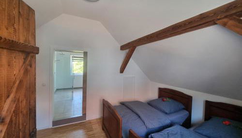 Pension Alte Schmiede - Foto 3