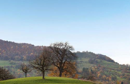 Wanderer Lodge am Breitenstein - Foto 26