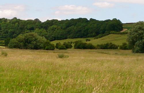 The Mansion Cottage - Foto 15