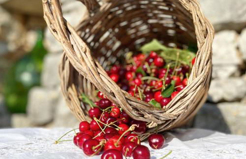 Trullo Siamese - Foto 24