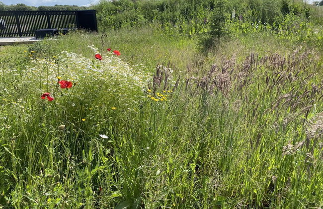 "Anelle" - 500m from the sea - Foto 4