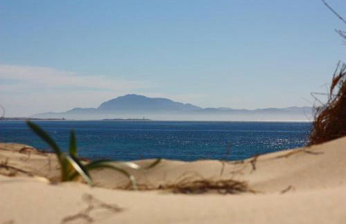 El Abejaruco - Foto 19