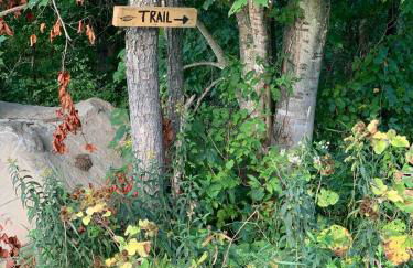 Farmhouse cabin close to Smugglers Notch - Foto 45