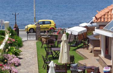 Niki Studios Sea - Front - Photo 5