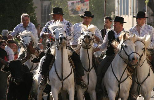 Gîte de vacances en Camargue ☆☆NN - Photo 18