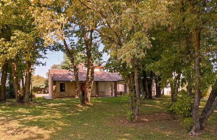 La casetta nel bosco - Photo 10