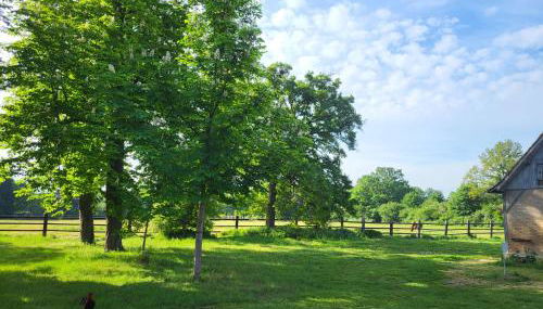 Gite de la Chapelle - Circuit des 24 heures - ARNAGE - 10 personnes - Foto 5, Garden