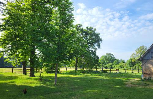 Gite de la Chapelle - Circuit des 24 heures - ARNAGE - 10 personnes - Photo 5