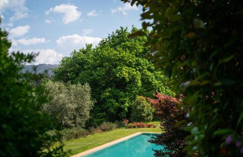 Wine Tourism - Quinta do Ameal - Foto 23