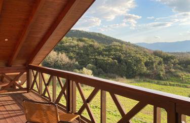 ktima Tzouros - Κτήμα Τζούρος - Foto 17