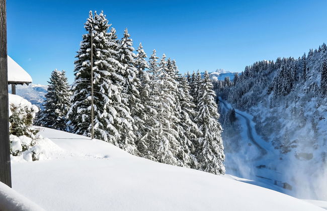 Le Cyclamen - Photo 34