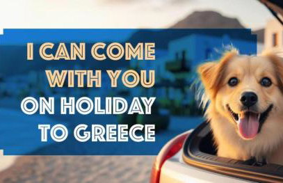 Pohoda Villas Resort - Foto 47