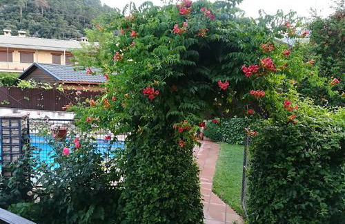 Cabañas los Pinos Arroyo Frio - Foto 54